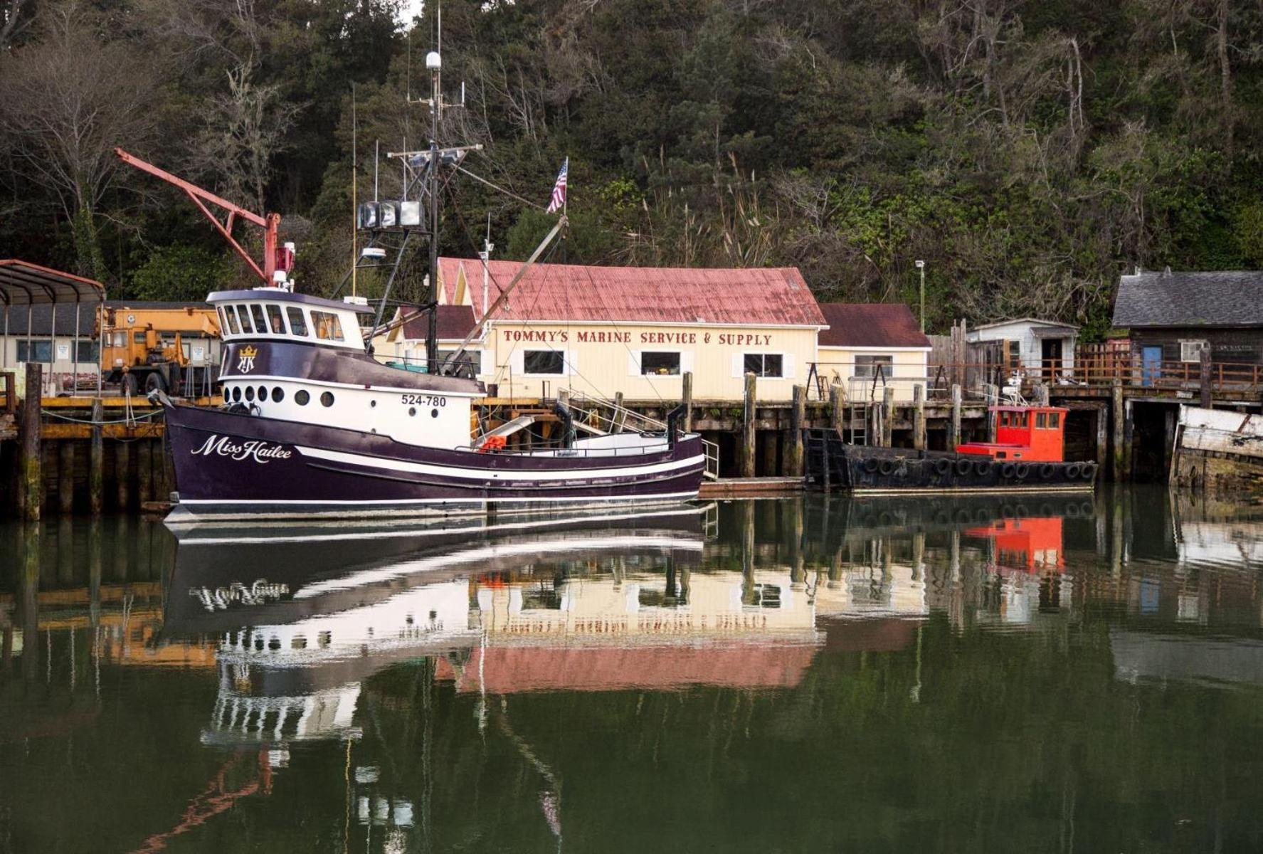 Driftwood Villa Fort Bragg Luaran gambar